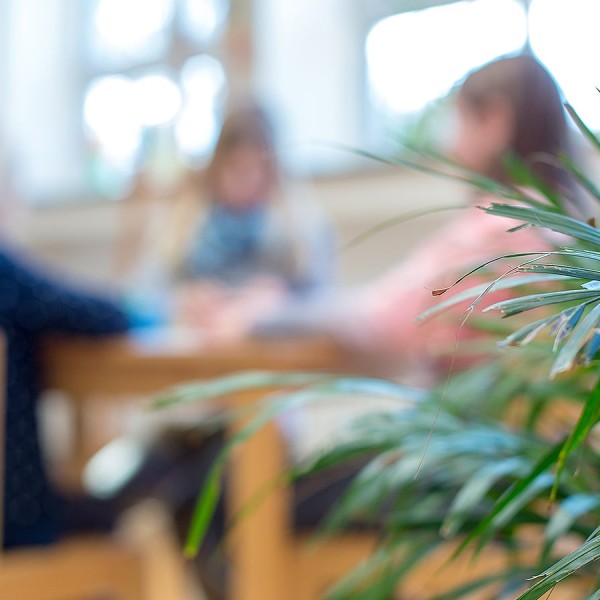 maik-grabosch-eds-website-17