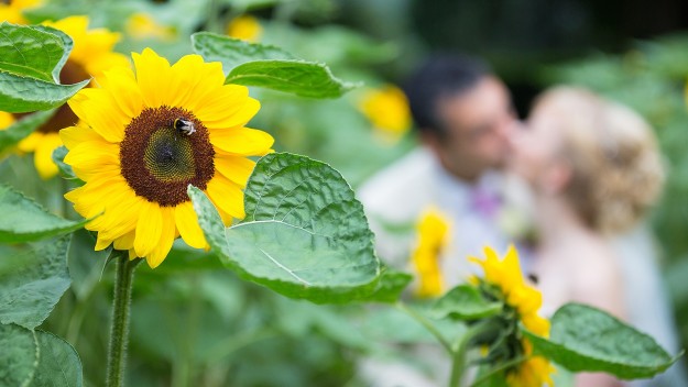 maik-grabosch-hochzeit-steffi-dennis-18