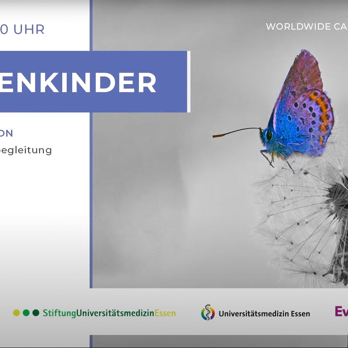 mgc-livestream-videoproduktion-essen-universitätsklinikum-medizin